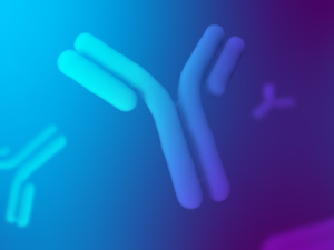 test-de-anticuerpos